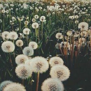 Meet your Posher, Mimi